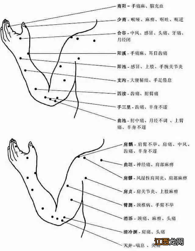 人体常用穴位全身准确位置图和作用 人体全身穴位名称和位置图