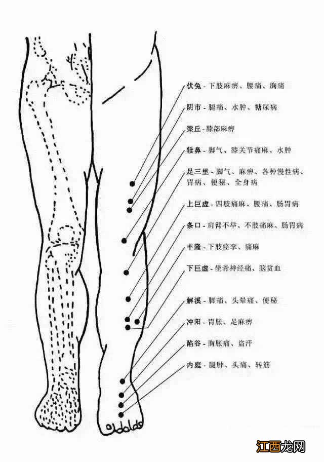 人体常用穴位全身准确位置图和作用 人体全身穴位名称和位置图