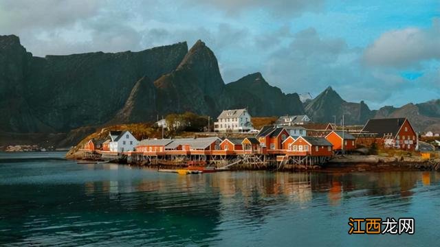 西餐小卷心菜的做法？网络流行语卷心菜，你看懂了吗