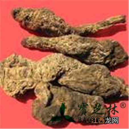 地黄的功效与作用及图片