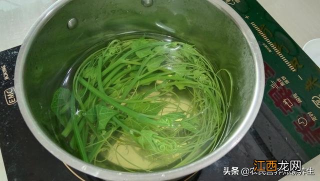 龙须菜是啥菜怎么吃？龙须菜长在地上的图片，看完刷新了认知！