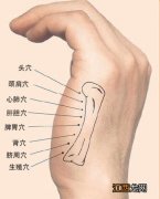 手指经络养生预知身体健康情况