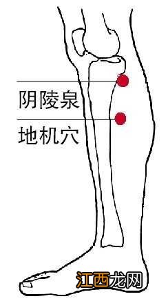 秋季刮痧祛湿重点在于7大养生穴位