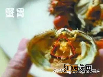 教你如何挑选海鲜