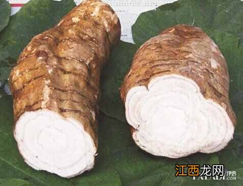 葛根粉丰胸有效吗 葛根粉的丰胸原理