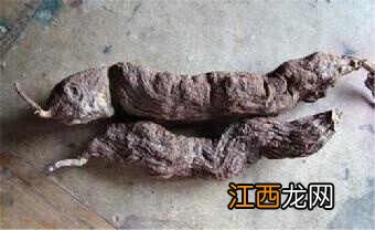 何首乌价值百万是真的吗 怎么辨别是千年何首乌