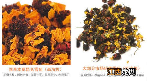 最好的雪菊产地 怎么辨别新疆天山雪菊真假