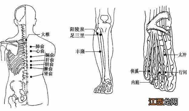 详解祛斑靓肤的刮痧疗法