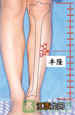 丰隆穴的准确位置图 丰隆穴怎么找