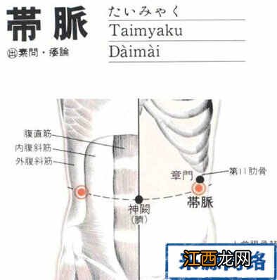 带脉的准确位置图 带脉穴在哪