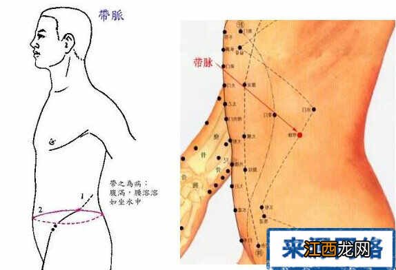 带脉的准确位置图 带脉穴在哪