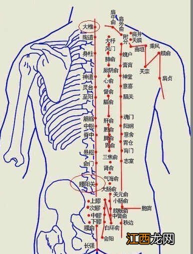 艾灸减肥的穴位有哪些？