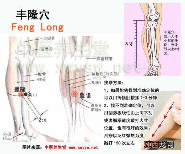 丰隆穴的准确位置图 丰隆穴在哪