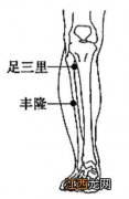 丰隆穴的准确位置图 丰隆穴在哪