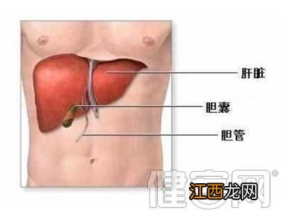 肝掌一定是肝硬化吗 肝掌一定是肝病吗