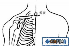 小儿天突的准确位置图 小儿天突的按摩方法