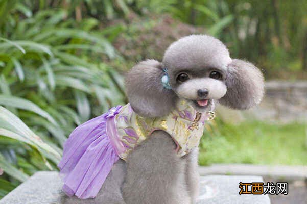 男人不结婚有哪些坏处 男人不结婚的危害