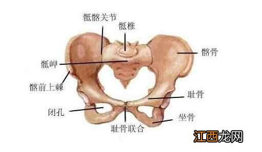 如何量弟弟的尺寸图解 男人长度测量方法图