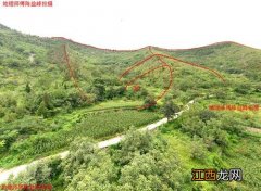 公墓几排位置好 墓地葬山顶好还是山腰好，怎样选墓地风水图解