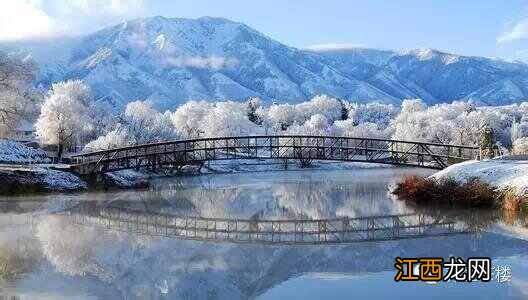 立冬节气 话养生,立冬节气养生食谱