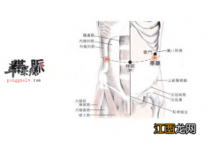 带脉的准确位置图和作用按摩方法