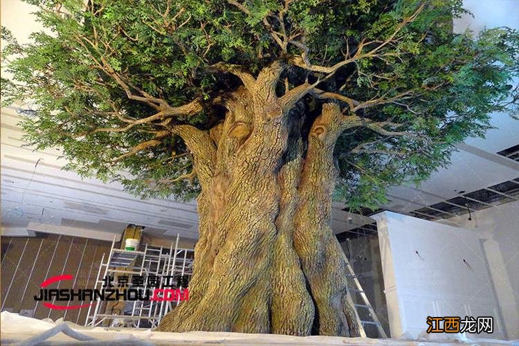 客厅放什么仿真花合适 客厅放什么仿真树最好，适合客厅摆放的大型植物