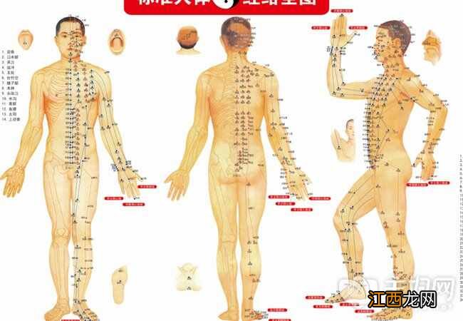 经络减肥有效果吗 中医疏通经络减肥