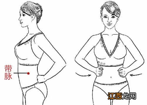 如何疏通带脉 带脉运行图