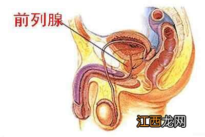 自己按摩前列腺十种手法图解 前列腺自我按摩方法图解