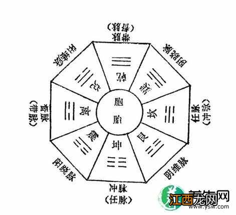 中医医书《难经》-奇经八脉的起源