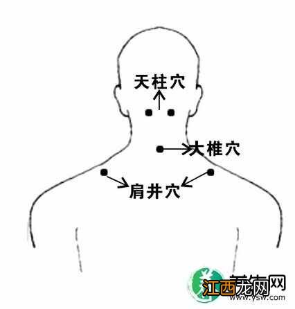 冬季感冒怎么办？试试用热水冲大椎穴