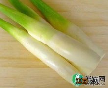 青菜补钙效果好 冬季补钙多吃六类蔬菜