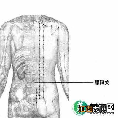 艾灸减肥的主要穴位有哪些