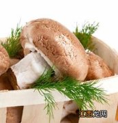 秋季抗衰老提升免疫力的6种菇