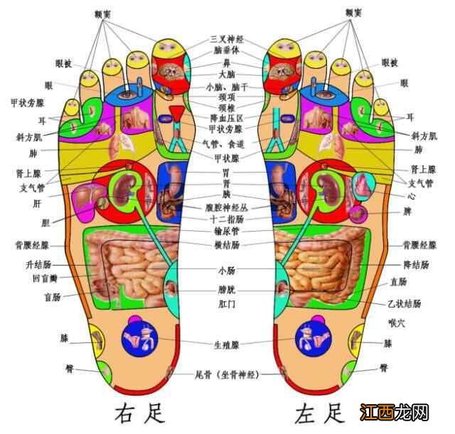 5分钟快速降血压一病一绝招