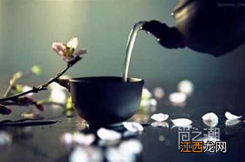 如何正确泡茶 新手学泡茶