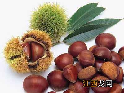 养胃健脾的食物有哪些 养胃健脾吃什么好