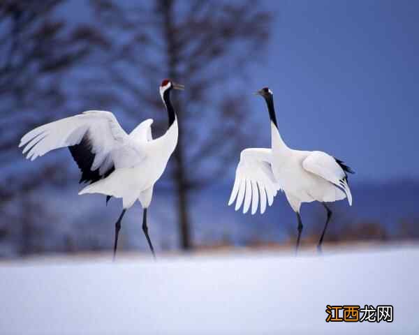 养生不能只重视生理健康