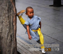 孩子学习中华武术有哪些利弊 从小学习武术竟然有这么多的我们未知的好处