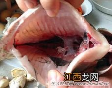 杀鱼时鱼胆破了怎么去苦味？