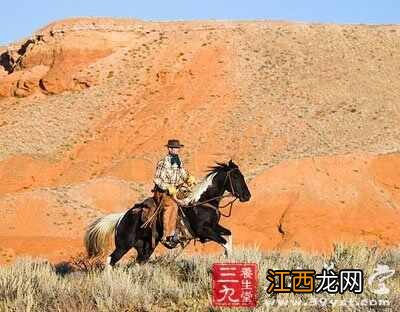 骑马的好处有哪些 骑马的步骤