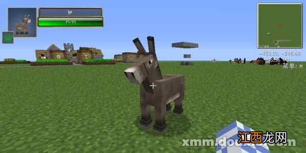 骑马的好处有哪些 骑马的步骤