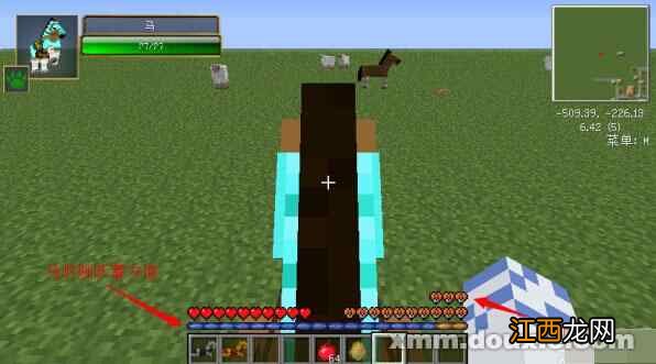 骑马的好处有哪些 骑马的步骤