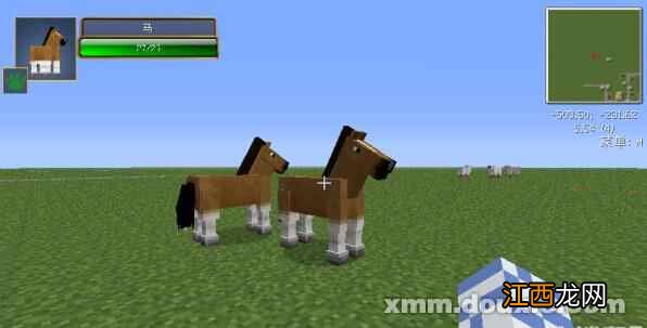 骑马的好处有哪些 骑马的步骤