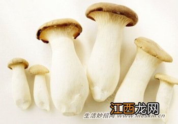 鲜蘑菇的保存方法