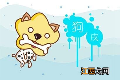 属狗人命中注定的另一半 82属狗女人命苦,1982年属狗女什么时候走大运