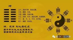 周易算命官网 易经网站有哪些，周易教学24集视频