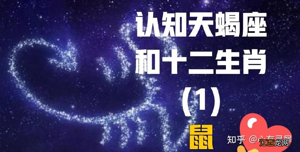 属鼠38岁以后命数已定 属鼠天蝎座男生，属鼠84年一生晚年怎样