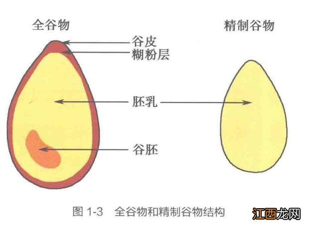 米为什么能做成饭,米是怎么煮成饭的,点赞文章写得好