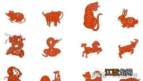 属虎不宜配什么属相 2022年宜装修的属相,2022年犯太岁